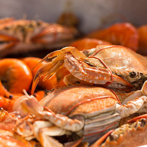 Crab