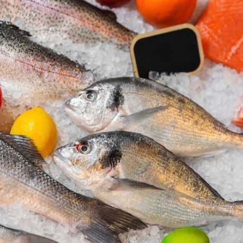 Frozen Fish