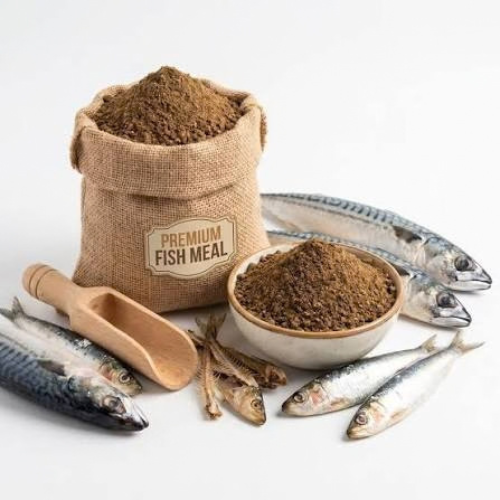 Fish Meal