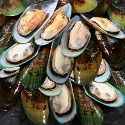 Shell Fish