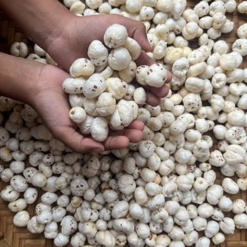Raw Foxnuts