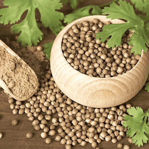 Coriander